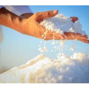 Nunc congue dui nec...