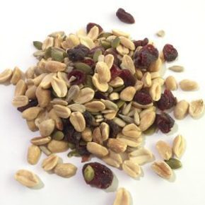 Nunc congue dui nec...