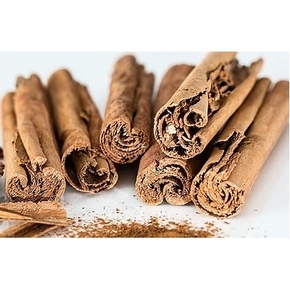 Nunc congue dui nec...