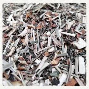 Nunc congue dui nec...