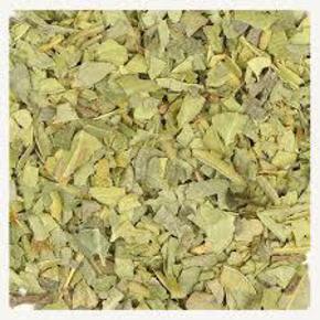 Nunc congue dui nec...