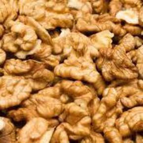 Nunc congue dui nec...