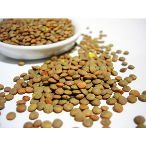 Nunc congue dui nec...